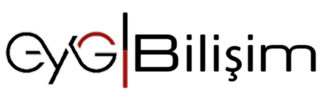EYG Bilişim hangi hizmetleri sunmaktadır?